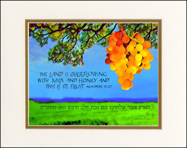 Parasha Shelach - Image 2