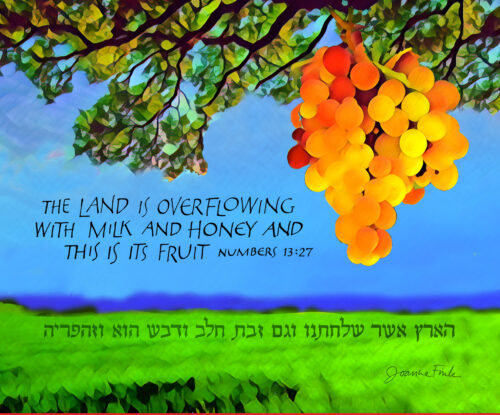 Parasha Shelach