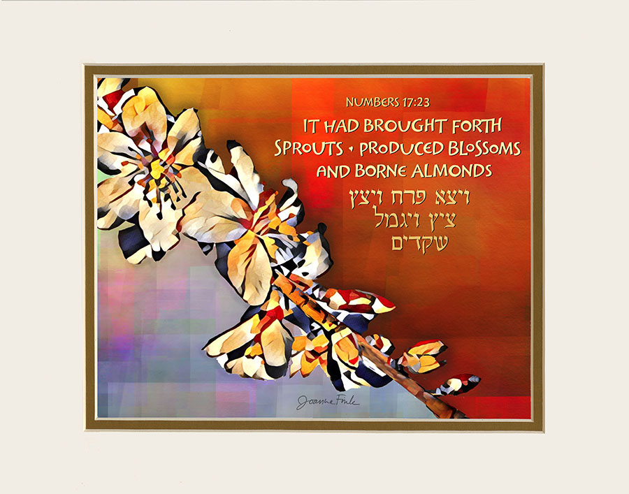 Parasha Korach - Image 3